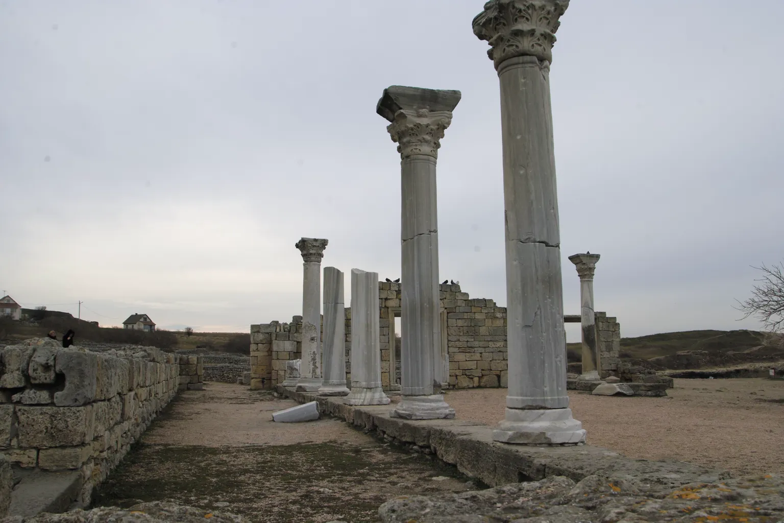 Chersonesus 5